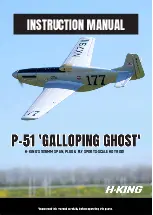 H-KING P-51 GALLOPING GHOST Instruction Manual preview