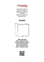 Preview for 1 page of H.Koenig FGW400 Instruction Manual