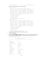 Preview for 172 page of H3C S5500-HI Switch Series Mpls Configuration Manual