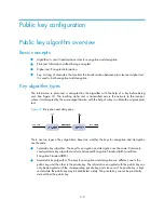 Preview for 110 page of H3C S9500E Series Security Configuration Manual