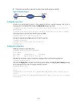 Preview for 207 page of H3C SR6600-X Configuration Manual