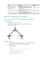 Preview for 98 page of H3C SR8800 10G Mpls Configuration Manual