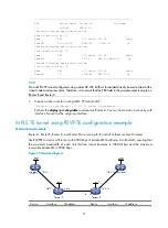 Предварительный просмотр 102 страницы H3C SR8800 10G Mpls Configuration Manual