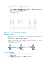 Preview for 116 page of H3C SR8800 10G Mpls Configuration Manual