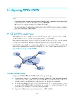 Предварительный просмотр 200 страницы H3C SR8800 10G Mpls Configuration Manual