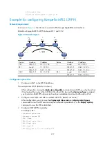 Preview for 228 page of H3C SR8800 10G Mpls Configuration Manual