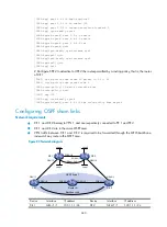 Preview for 351 page of H3C SR8800 10G Mpls Configuration Manual