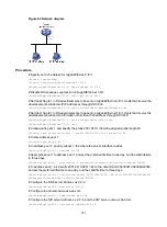 Preview for 207 page of H3C SR8800-F Configuration Manual