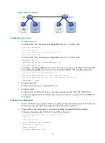 Preview for 22 page of H3C SR8800 IM-FW-II Configuration Manual