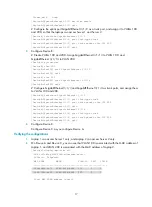 Preview for 27 page of H3C SR8800 IM-FW-II Configuration Manual