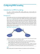 Preview for 112 page of H3C SR8800 IM-FW-II Configuration Manual