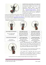 Предварительный просмотр 6 страницы Hacker Motor Para-RC Cloud 1.5 Assembly And Operating Instructions Manual