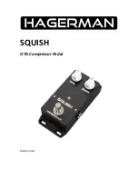 Hagerman SQUISH Quick Start Manual preview