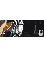 Preview for 8 page of Hagstrom Deluxe-F GOS Brochure