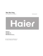 Haier DSF80B E Operating Manual предпросмотр