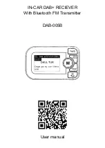 HaiKe DAB-005B User Manual preview