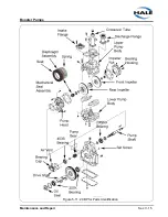 Preview for 51 page of HALE AP Operation And Maintenance Manual