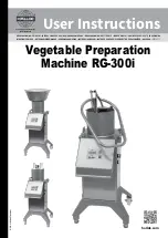 Hallde RG-300i User Instructions предпросмотр