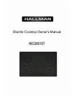 Hallman HEC3001ST Owner'S Manual preview