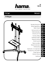 Hama 118098 Operating Instructions Manual предпросмотр