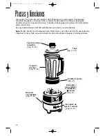 Предварительный просмотр 20 страницы Hamilton Beach Commercial Tango 1G91300 Operation Manual