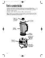 Предварительный просмотр 36 страницы Hamilton Beach Commercial Tango 1G91300 Operation Manual