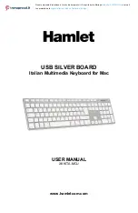 Hamlet USB SILVER BOARD User Manual preview