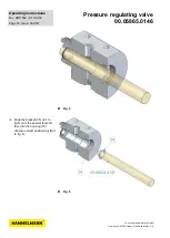 Предварительный просмотр 78 страницы HAMMELMANN B7.02502.0210 Operating Instructions Manual