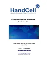 Handcell DAG1000 Series User Manual preview