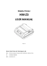 Hanin HM-Z3 User Manual preview