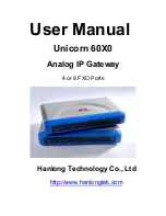 Hanlong Unicorn 60X0 User Manual preview