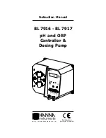 Hanna Instruments BL 7916 Instruction Manual preview