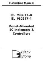 Preview for 1 page of Hanna Instruments BL 983317-0 User Manual