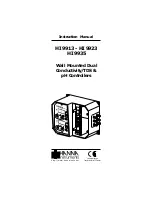 Hanna Instruments HI 9913 Instruction Manual preview