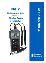 Preview for 1 page of Hanna Instruments HI98199 Instruction Manual