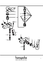 Предварительный просмотр 3 страницы Hans Grohe 31453 Cleaning Instructions Manual