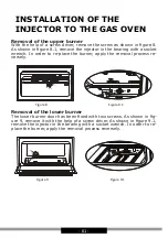 Предварительный просмотр 61 страницы Hansa FCMW971291 Operating Instructions Manual