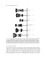 Предварительный просмотр 267 страницы Hasselblad Digital Camera Manual