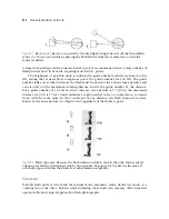 Предварительный просмотр 351 страницы Hasselblad Digital Camera Manual