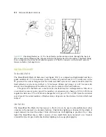 Предварительный просмотр 365 страницы Hasselblad Digital Camera Manual