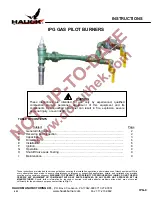 Hauck IPG 411 Instructions Manual preview