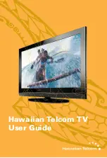 Hawaiian Telcom TV Set top box User Manual preview