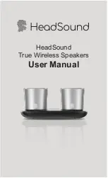 HEADSOUND H2 User Manual предпросмотр