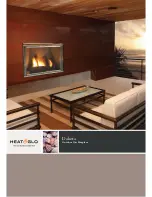 Heat & Glo Outdoor Gas Fireplace DAKOTA-CE Brochure & Specs preview