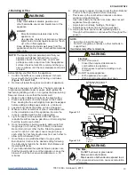 Предварительный просмотр 13 страницы Heatilator ECO CHOICE ECO-ADV-WS22 Owner'S Manual