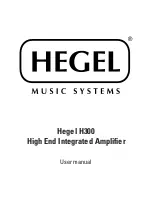 Hegel H300 User Manual preview