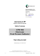 Heinzmann Triton CPM 500 Manual preview