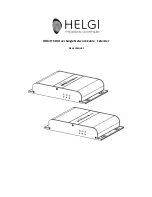 HELGI HDbitT User Manual preview