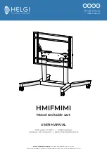 HELGI HMIFMIMI User Manual предпросмотр