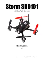 Предварительный просмотр 1 страницы Helipal storm SRD101 User Manual